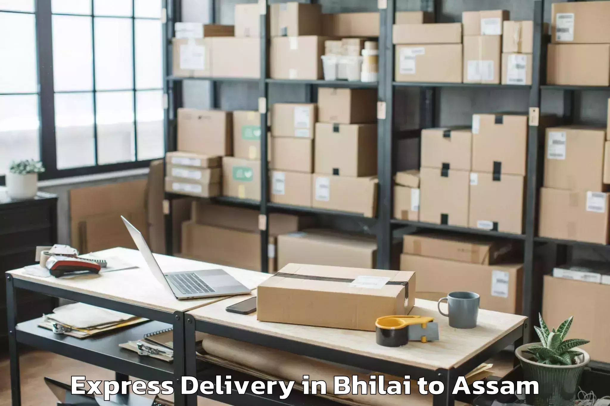 Leading Bhilai to Namrup Express Delivery Provider